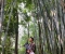 清音